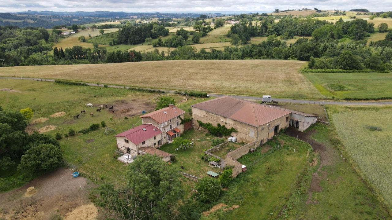 Domaine Du Coq En Pat Bed & Breakfast Augerolles Eksteriør bilde